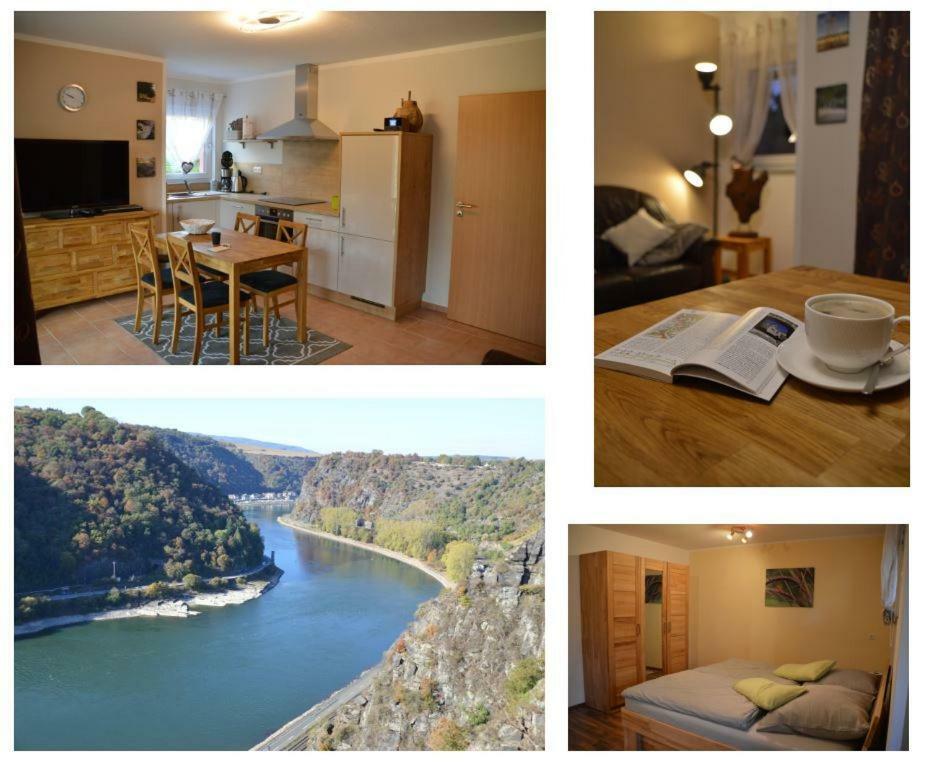 Ferienwohnung 554 - Urbar, Vis-A-Vis Der Loreley Urbar  Ngoại thất bức ảnh